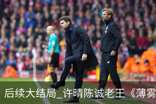 后续大结局 许晴陈诚老王《薄雾锁清秋》《四个工友》