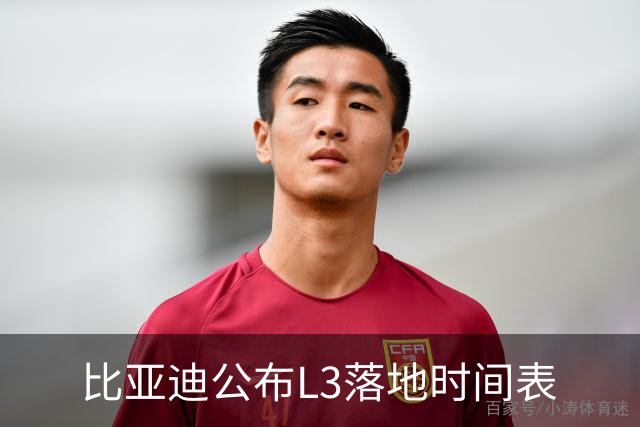 比亚迪公布L3落地时间表
